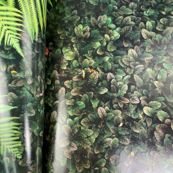 How to Grow Lawns Ground Covers Time Life Encyclopedia of Gardening 1973 u - Picture 7 of 9